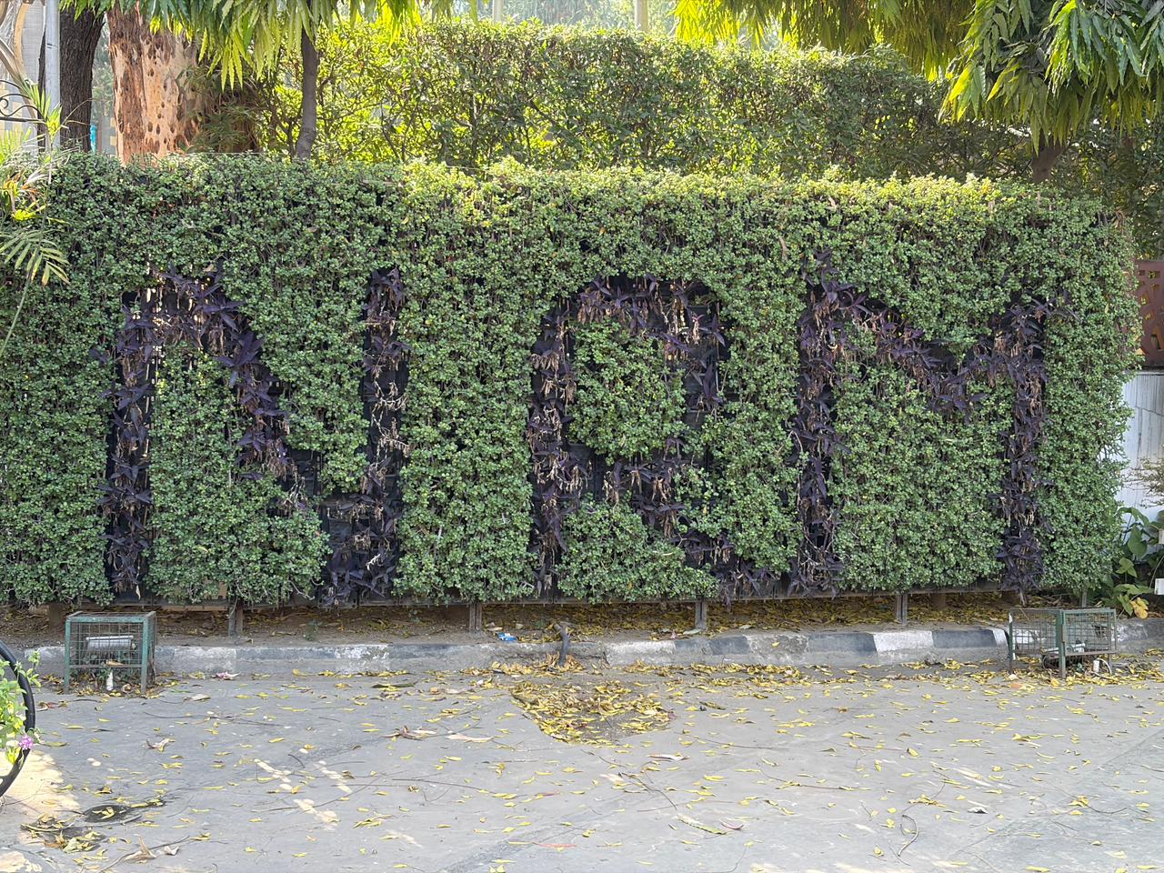 NRM green wall and planted edge